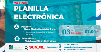 Webinar online "Planilla electrónica" de la Cámara de Comercio y la Producción de Puno