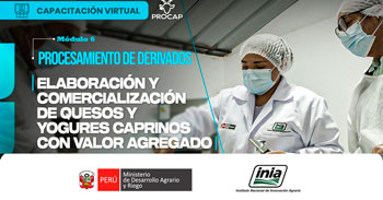 Capacitación  online "Elaboración y comercialización de quesos y yogures caprinos con valor agregado" del INIA