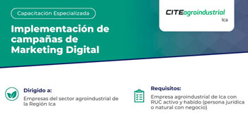  Capacitación online "Implementación de Campañas de Marketing Digital" del CITEagroindustrial Ica