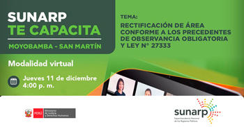 Capacitación online Rectificación de área conforme a los precedentes de observancia obligatoria y Ley N° 27333