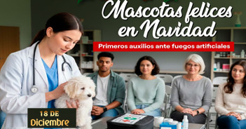 Charla presencial gratis "Mascotas felices en Navidad" de la Municipalidad Distrital de San Isidro - Lima