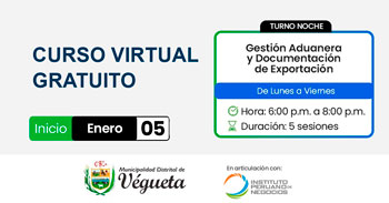  Curso online gratis "Gestión Aduanera y Documentación de Exportación" de la Municipalidad de Végueta