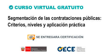 Curso online gratis Segmentación de las contrataciones públicas: Criterios, niveles y aplicación práctica
