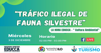  Evento online "Tráfico ilegal de fauna silvestre" de la Municipalidad Provincial de Ilo