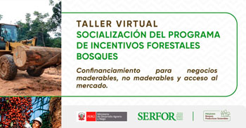   Taller online "Socialización del programa de incentivos forestales bosques" del CITEproductivo Pucallpa