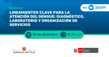  Webinar online Lineamientos clave para la atención del dengue: Diagnóstico, laboratorio y organización de servicios