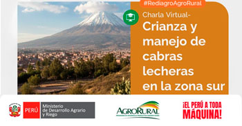 Charla online gratis "Crianza y manejo de cabras lecheras la zona sur" de Agro Rural