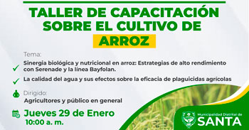  Taller presencial sobre el "Cultivo de arroz" de la Municipalidad de Santa 