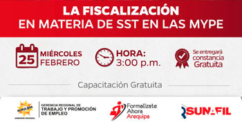  Capacitación online La fiscalización en materia de SST en las MYPE de la Gerencia Regional de Trabajo Arequipa