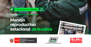 Capacitación online "Manejo reproductivo estacional de la cabra" del INIA