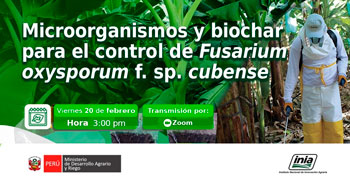  Capacitación online "Microorganismos y biochar para el control de Fusarium oxysporum f. sp. cubense" del INIA
