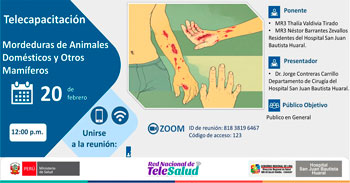  Capacitación online "Mordeduras de Animales Domésticos y Otros Mamíferos" del  Hospital de Huaral