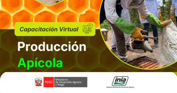  Capacitación online "Producción Apícola" del INIA