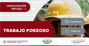  Capacitación online "Trabajo Forzoso" de la DRTPE de San Martín