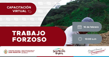  Capacitación online "Trabajo Forzoso" de la DRTPE de San Martín