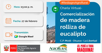 Charla online gratis "Comercialización de madera rolliza de eucalipto en Otuzco La Libertad" de Agro Rural