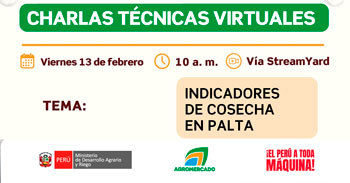  Charla online “Indicadores de cosecha en palta” de Agromercado