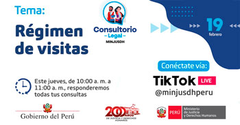 Evento online gratis "Régimen de visitas"del MINJUSDH