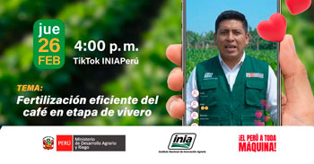 Evento online "Fertilización eficiente del café en etapa de vivero" del INIA