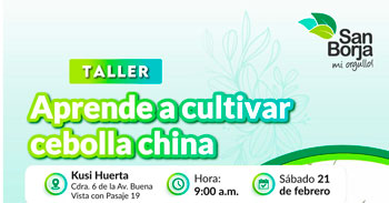 Taller presencial "Aprende a cultivar cebolla china" de la Municipalidad De San Borja