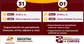 Capacitación presencial "Parasitosis e inseminación artificial en ovinos" de la Gerencia de Agricultura