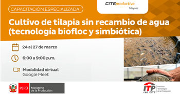  Capacitación online "Cultivo de tilapia sin recambio de agua (tecnología biofloc y simbiótica)" 
