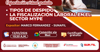  Capacitación online gratis "Tipos de despido  - La fiscalización laboral en el sector mype"