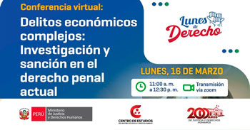 Conferencia online "Delitos económicos complejos: Investigación y sanción en el derecho penal actual"