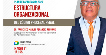  Conferencia online "Estructura Organizacional del Código Procesal Penal" 