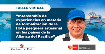 Taller online "Intercambio de experiencias en materia de formalización de la flota pesquera artesanal"