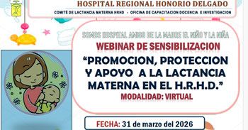 Webinar virtual "Promoción, protección y apoyo a la lactancia materna en el H.R.H.D." del MINSA