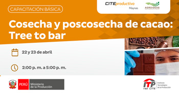 Capacitación online "Cosecha y poscosecha de cacao: Tree to bar" del CITEproductivo Maynas