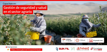  Capacitación online- "Gestión de seguridad y salud en el sector agrario" DRTPE de Ica