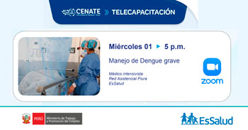  Capacitación online "Manejo de Dengue grave" del EsSalud