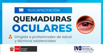 Capacitación virtual "Quemaduras oculares" del INO Oftalmología