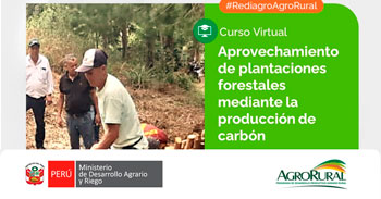 Charla virtual - "Elaboración de bioestimulantes y uso en la agricultura" Agro Rural
