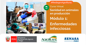  Charla online gratis "Sanidad en animales en producción Modulo 1: Enfermedades infecciosas" de Agro Rural