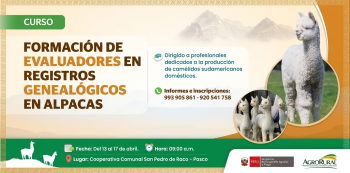  Curso presencial - "Formación de Evaluadores en Registros Genealógicos en Alpacas" Agro Rural