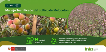 Curso presencial - "Manejo Tecnificado del Cultivo de Melocotón" INIA