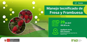  Curso presencial - "Manejo Tecnificado de Fresa y Frambuesa" INIA