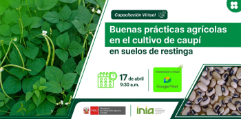  Curso online - "Buenas prácticas agrícolas en el cultivo de caupí en suelos de restinga" INIA