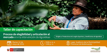 Capacitación Presencial Proceso de elegibilidad y articulación al mercado en el marco de la intervención de Agroideas
