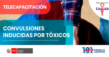 Capacitación online - "Convulsiones inducidas por tóxicos" Hospital Nacional Arzobispo Loayza