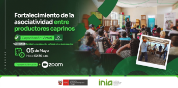 Capacitación virtual - "Fortalecimiento de la asociatividad entre productores caprinos" INIA
