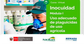 Charla virtual - "Inocuidad - Módulo I: Uso adecuado de plaguicidas de uso agrícola" Agro Rural (MIDAGRI) 