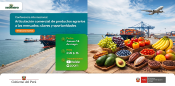 Conferencia virtual - "Articulación comercial de productos agrarios a los mercados"  (MIDAGRI)