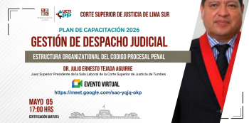 Conferencia online - "Estructura organizacional del Código Procesal Penal" 
