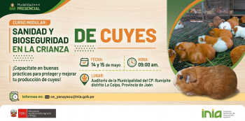  Curso presencial - "Sanidad y Bioseguridad en la crianza de cuyes" INIA