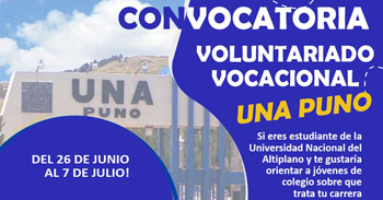 Voluntariado Municipal Juvenil Puno 2023